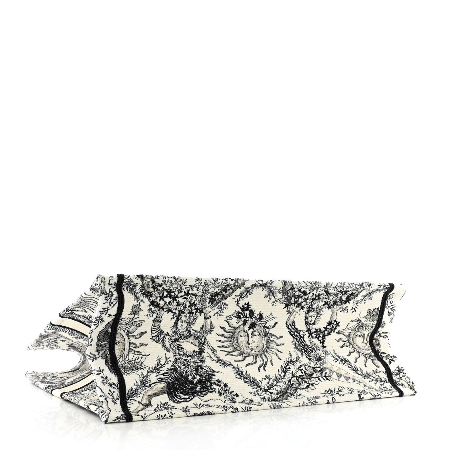 Dior Book Tote Tote - Rovelle Bags