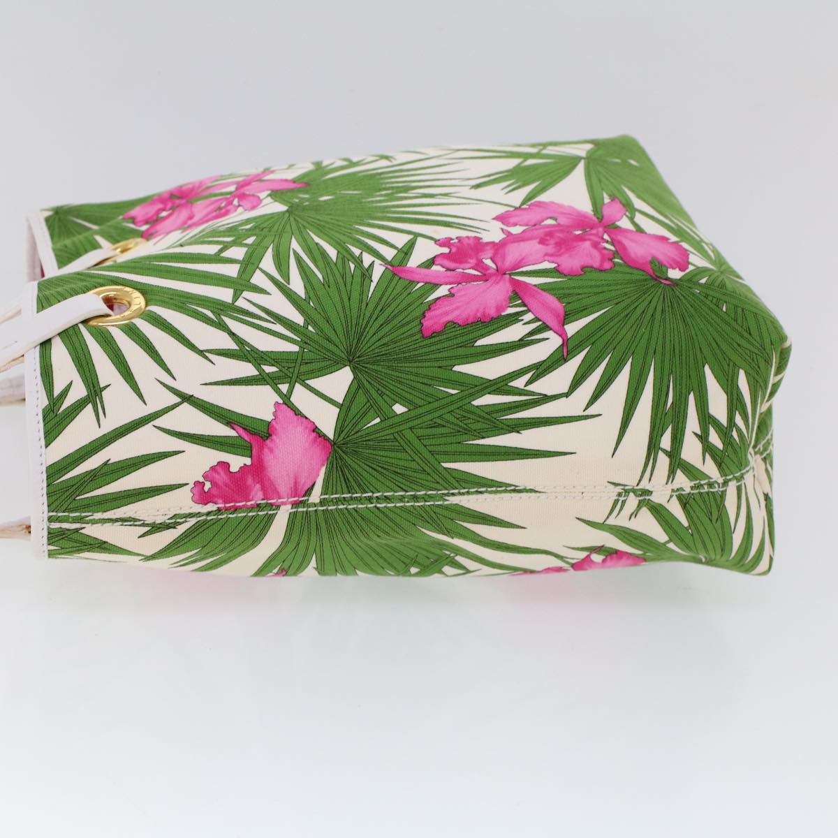 Luxury CELINE Botanical Pattern Tote Bag Canvas Green Pink 53737
