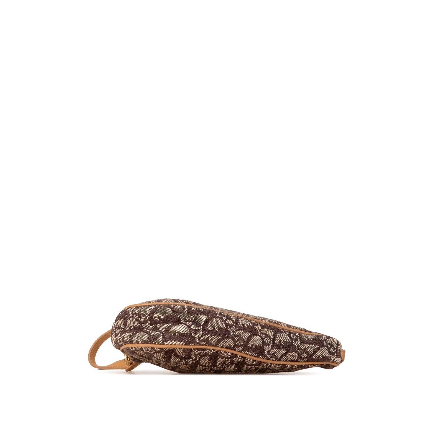 Dior Mini Oblique Saddle