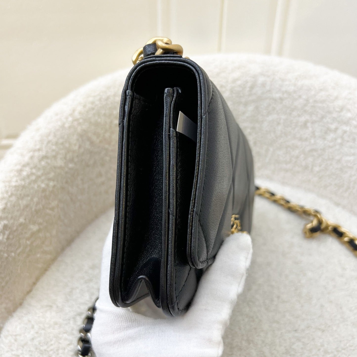 Chanel 19 Wallet on Chain WOC Crossbody Bag - Rovelle Bags