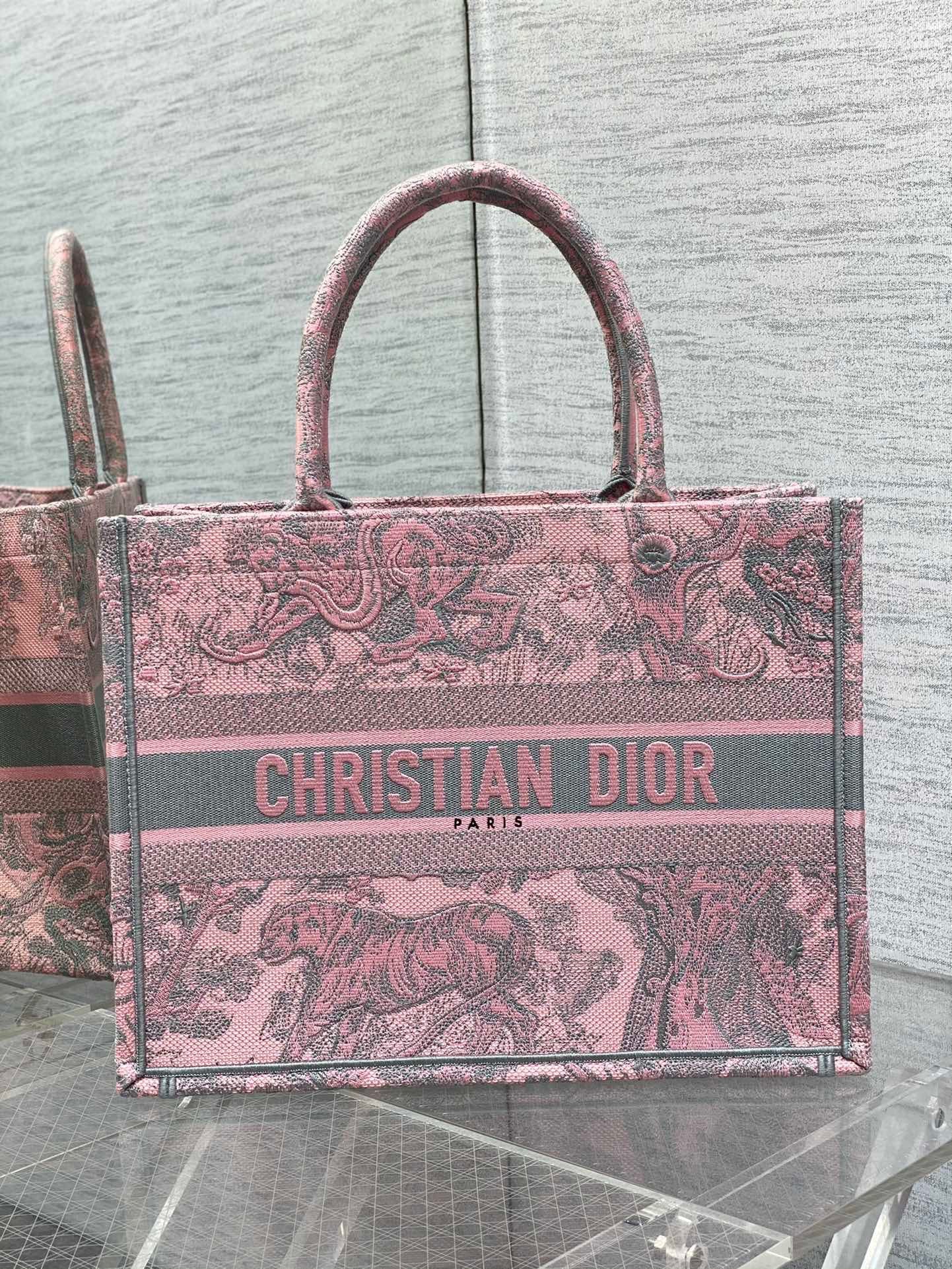 Dior Book Tote Tote