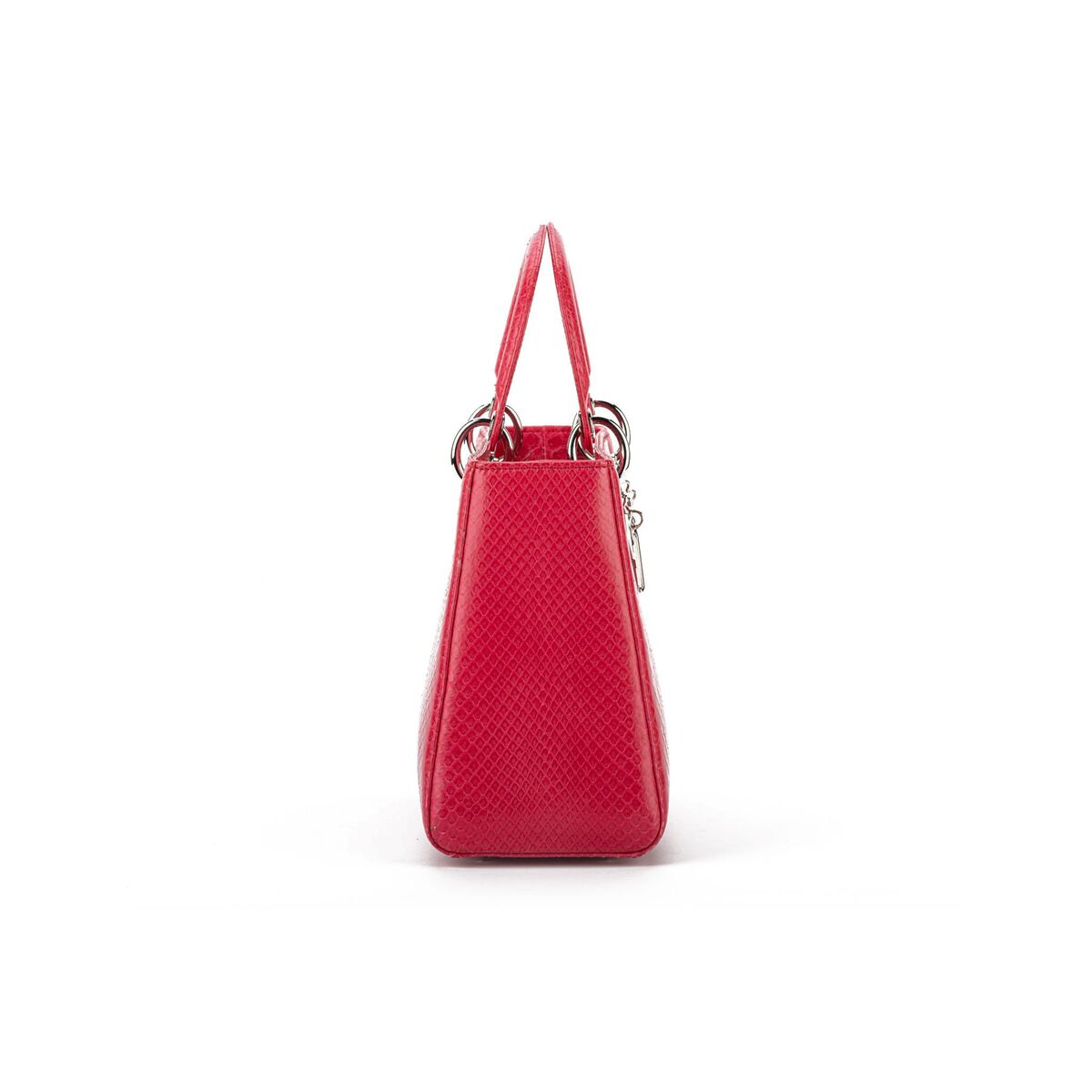 CHRISTIAN DIOR LARGE LADY DIOR PYTHON BAG