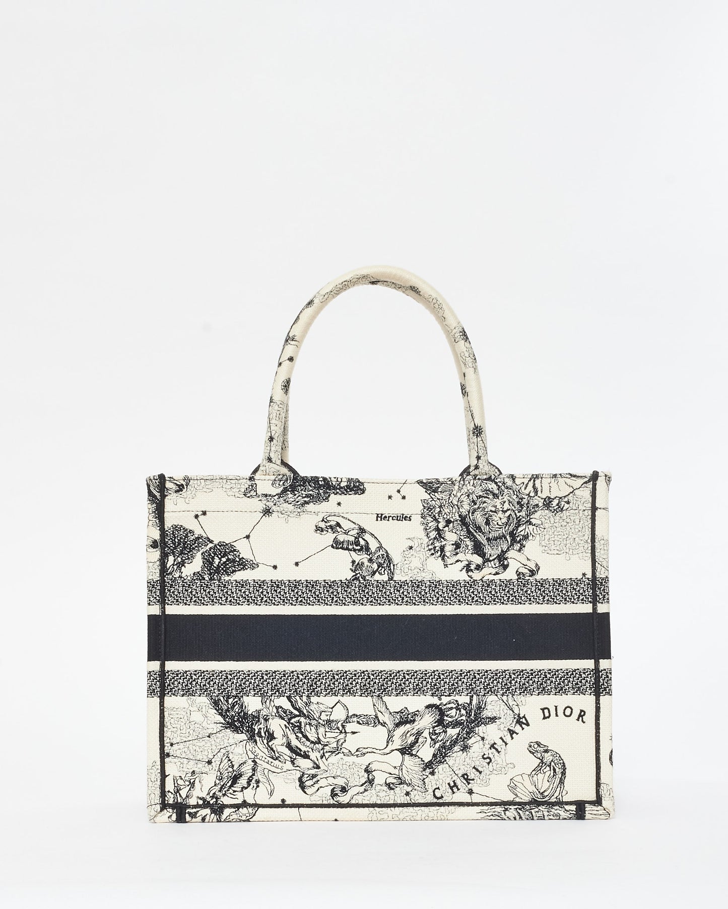 Dior Book Tote Canvas Tote
