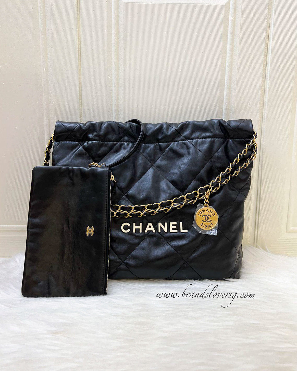 Chanel 22 Small Hobo Hobo Bag - Rovelle Bags