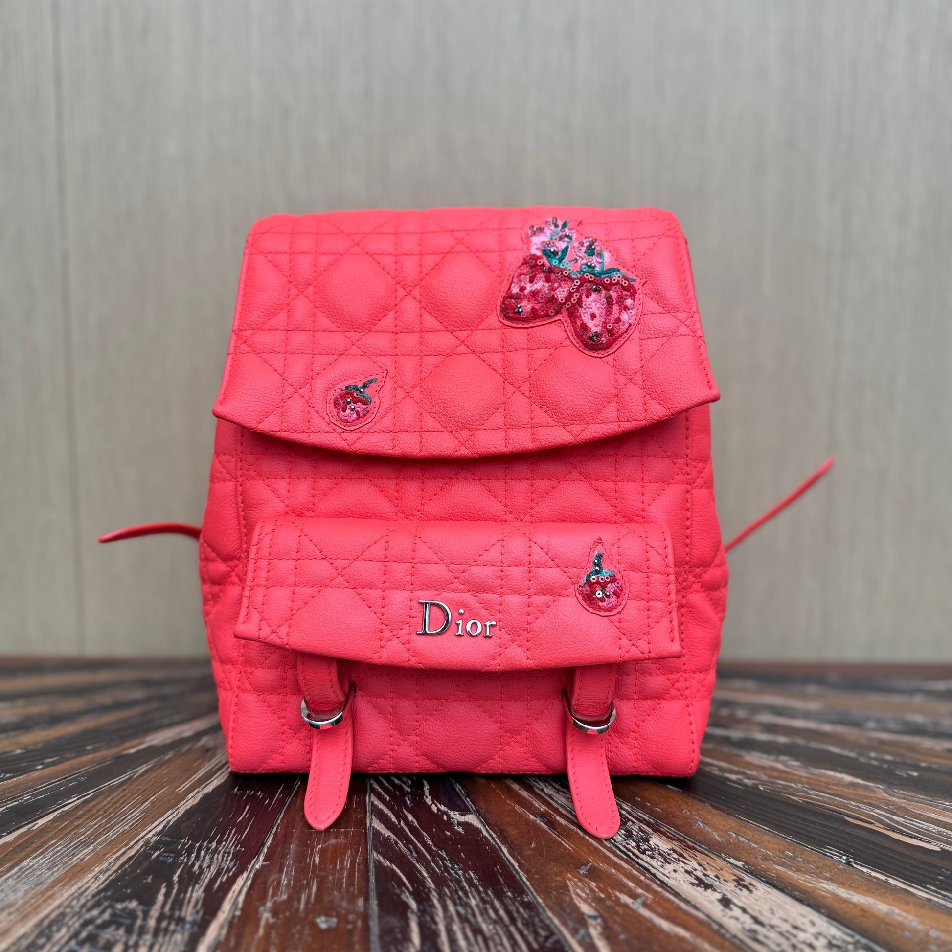 Dior Diortravel Tote - Rovelle Bags