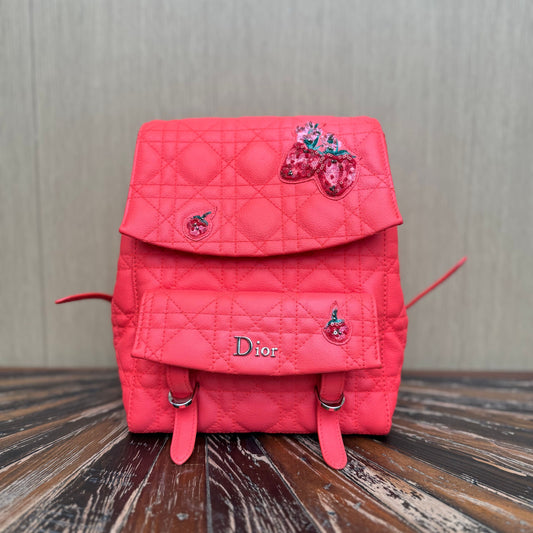 Dior Diortravel Tote - Rovelle Bags