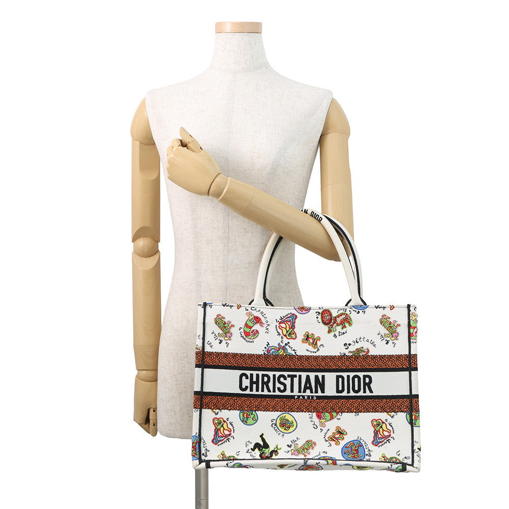 Dior Book Tote Tote - Rovelle Bags