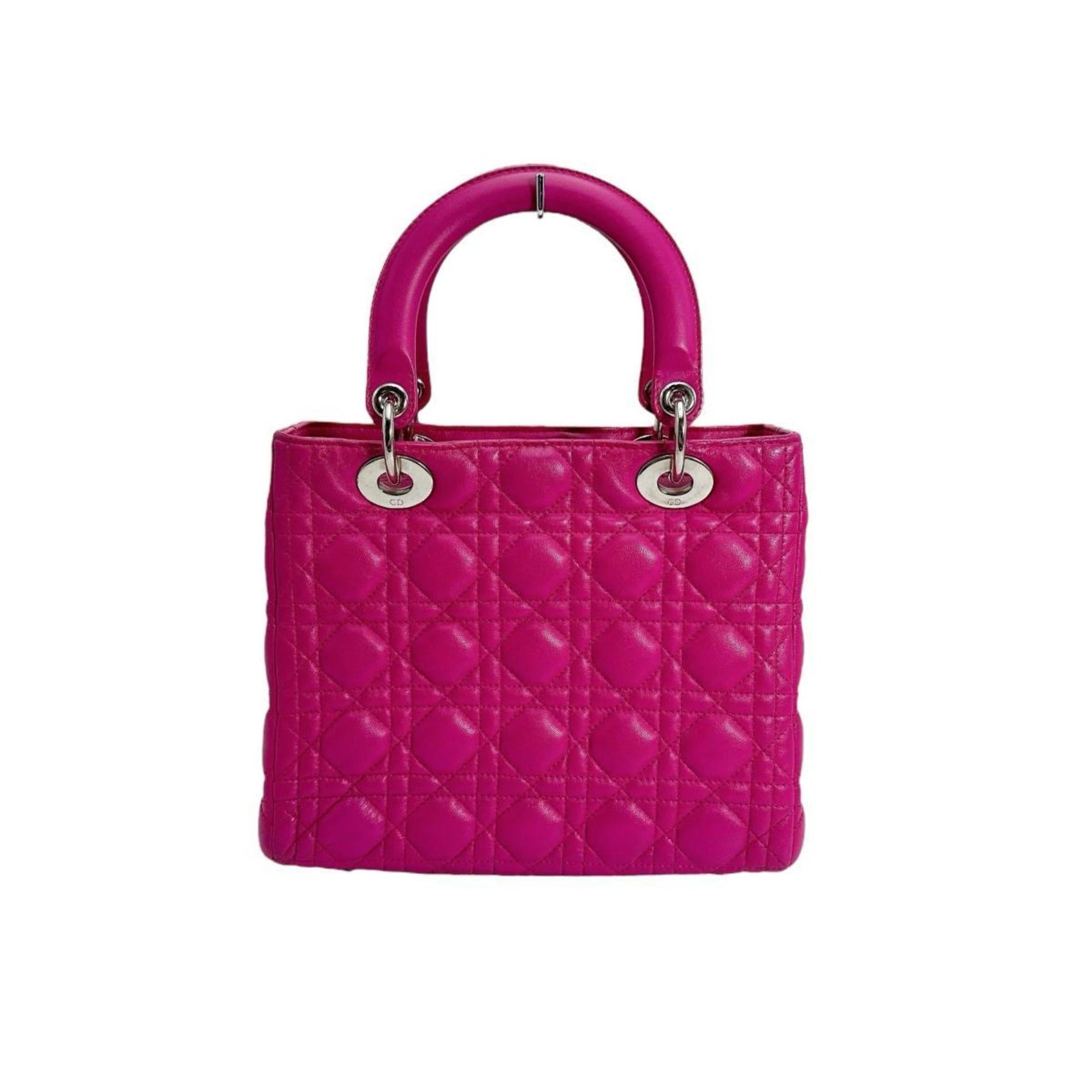 Dior Shoulder Bag - Rovelle Bags