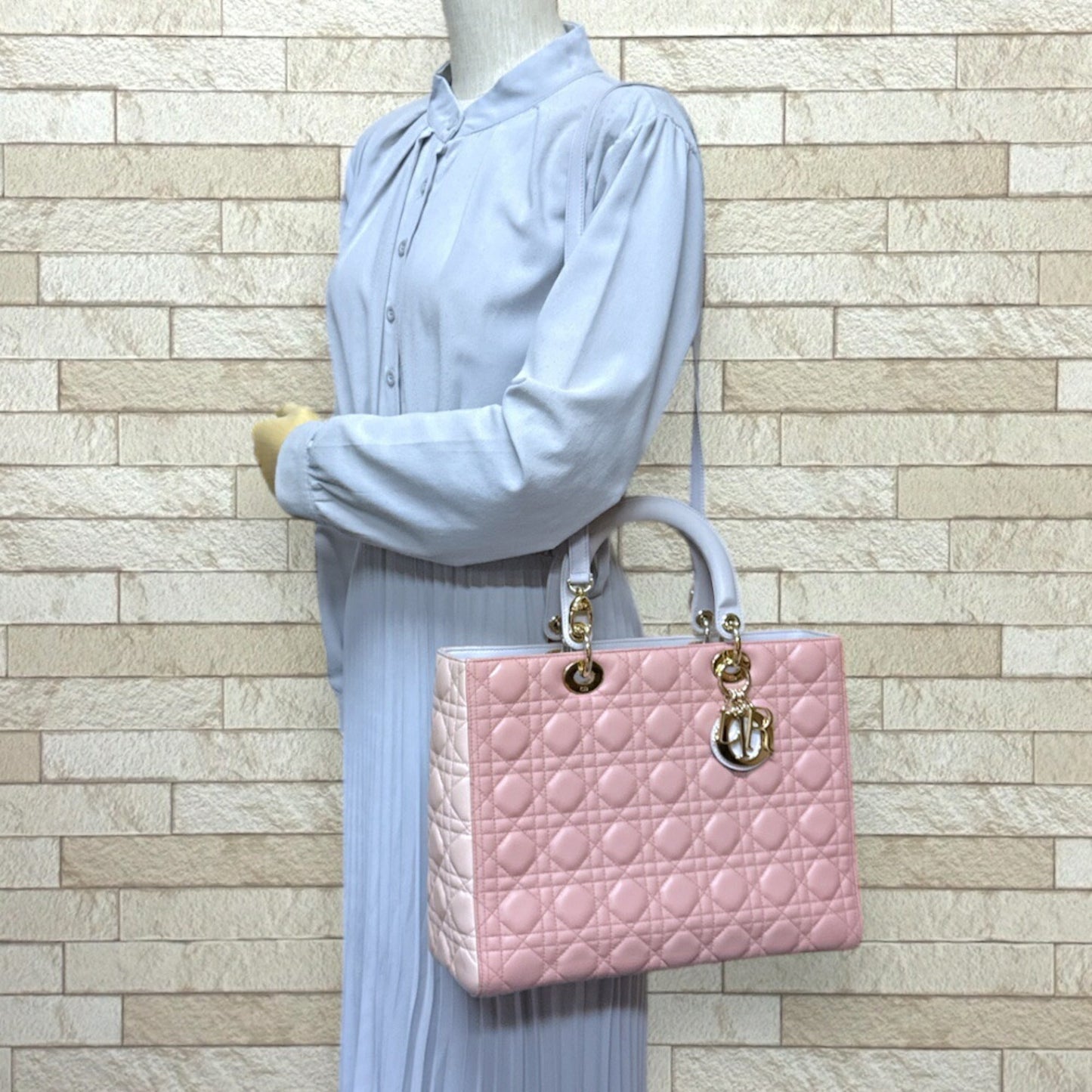 Dior Shoulder Bag - Rovelle Bags
