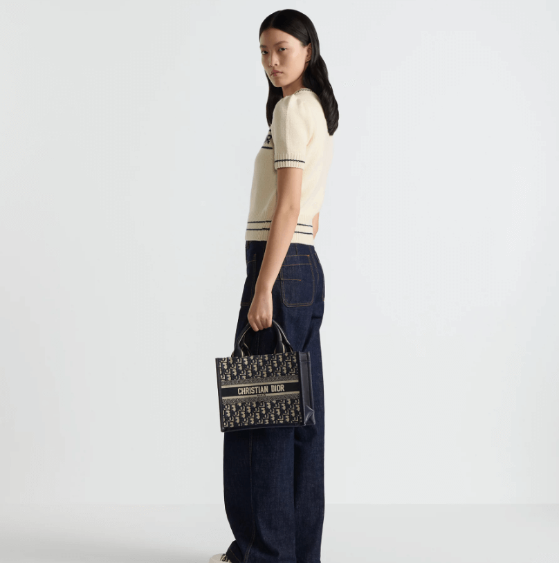 Dior Book Tote Leather Mini Tote
