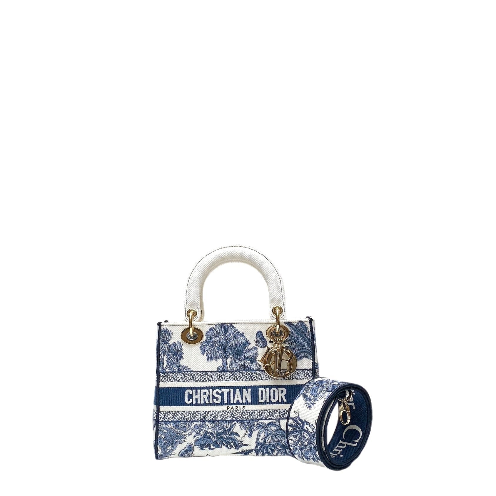 Dior Lou Lady Dior Canvas Handbag
