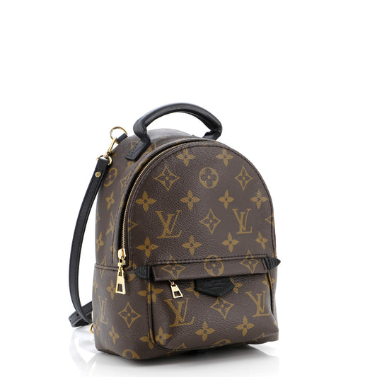 Louis Vuitton Palm Springs Backpack Monogram Canvas Mini