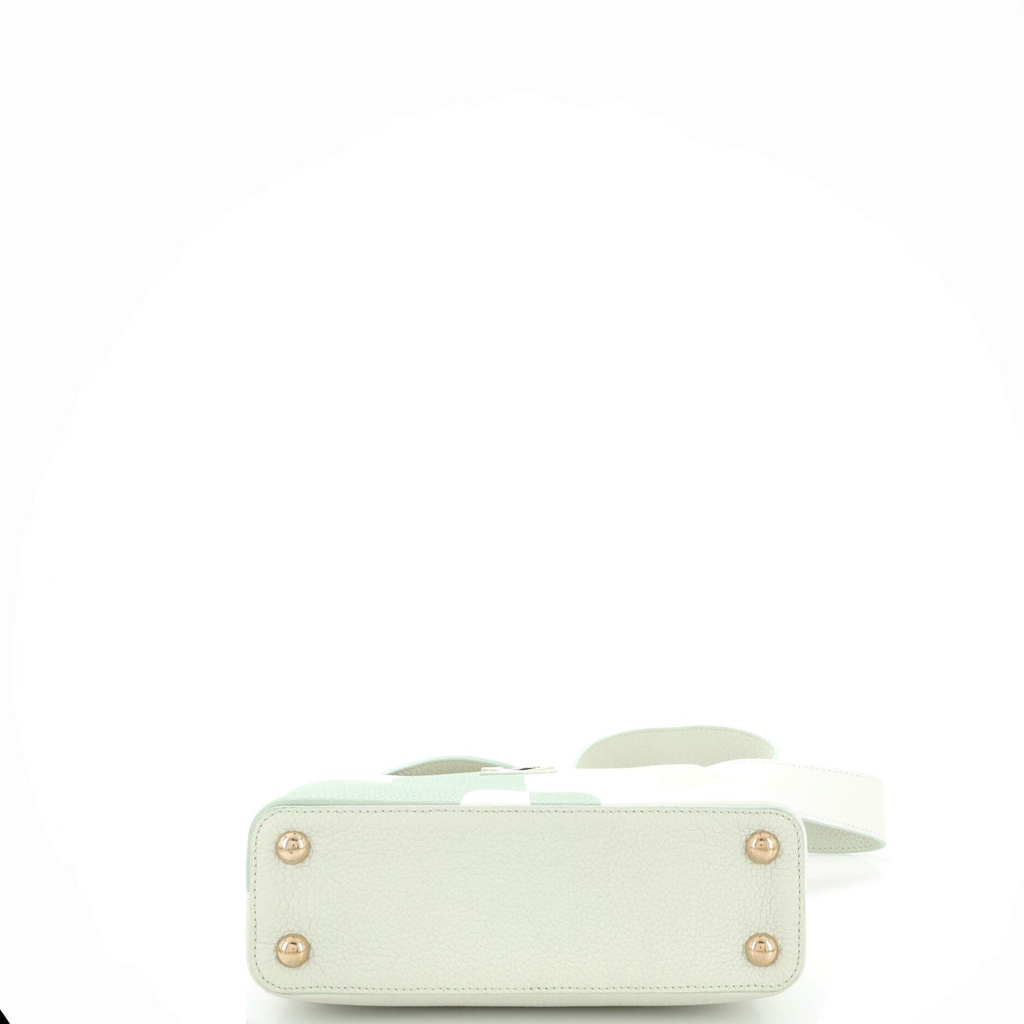 Louis Vuitton Capucines Bag Monogram Giant Flower Leather BB