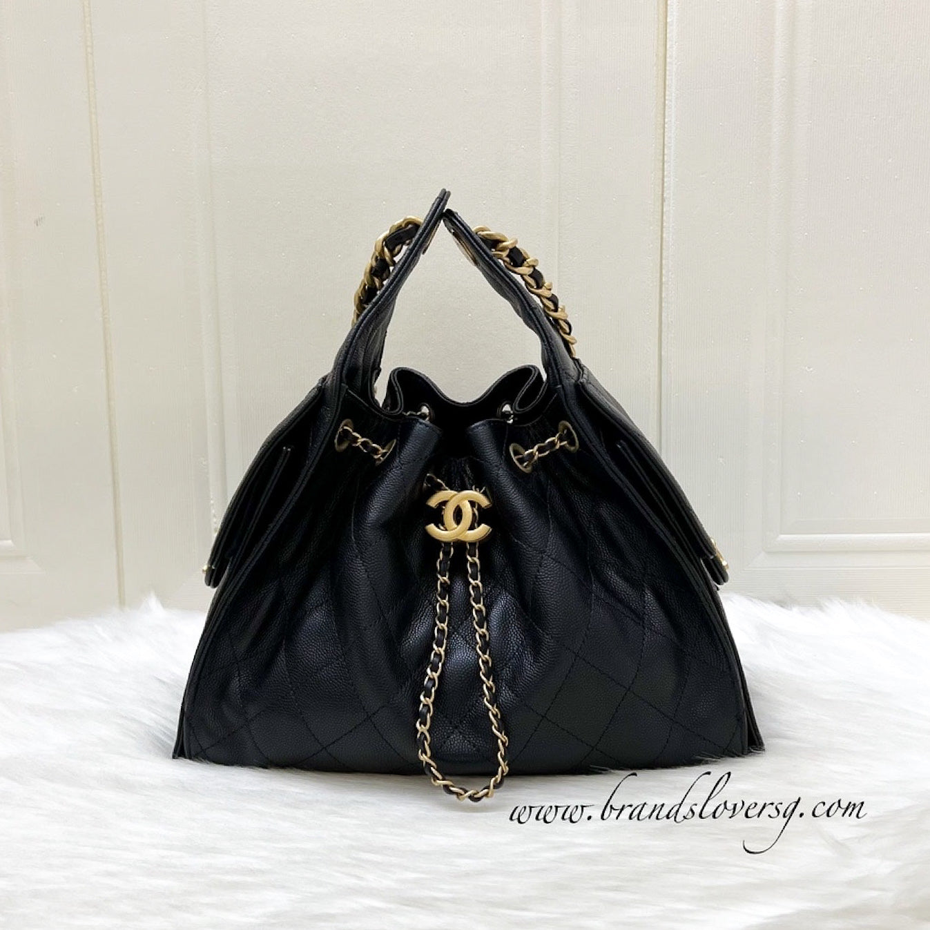 Chanel 25 Small Hobo Hobo Bag - Rovelle Bags