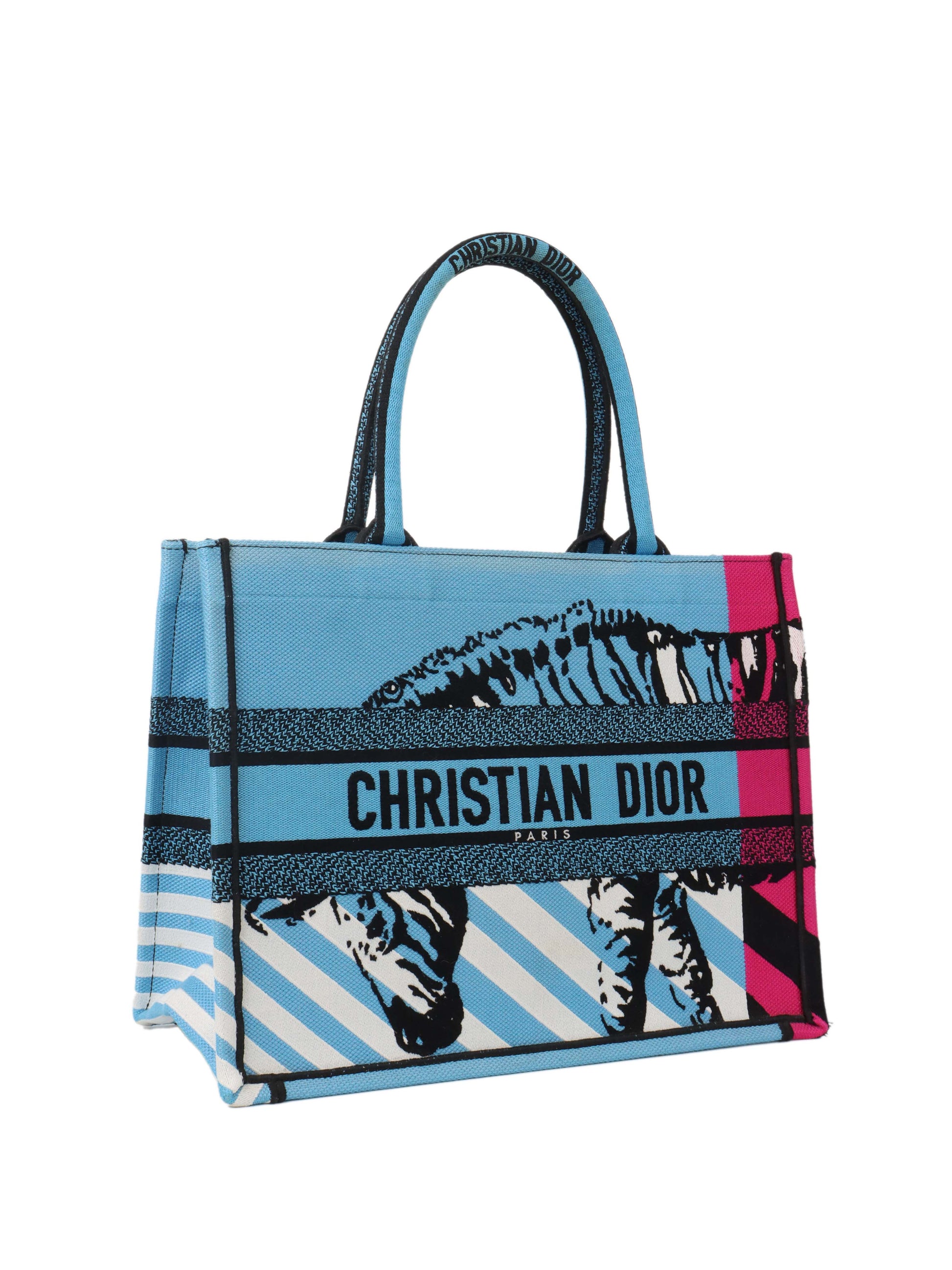 Dior Book Tote Tote - Rovelle Bags