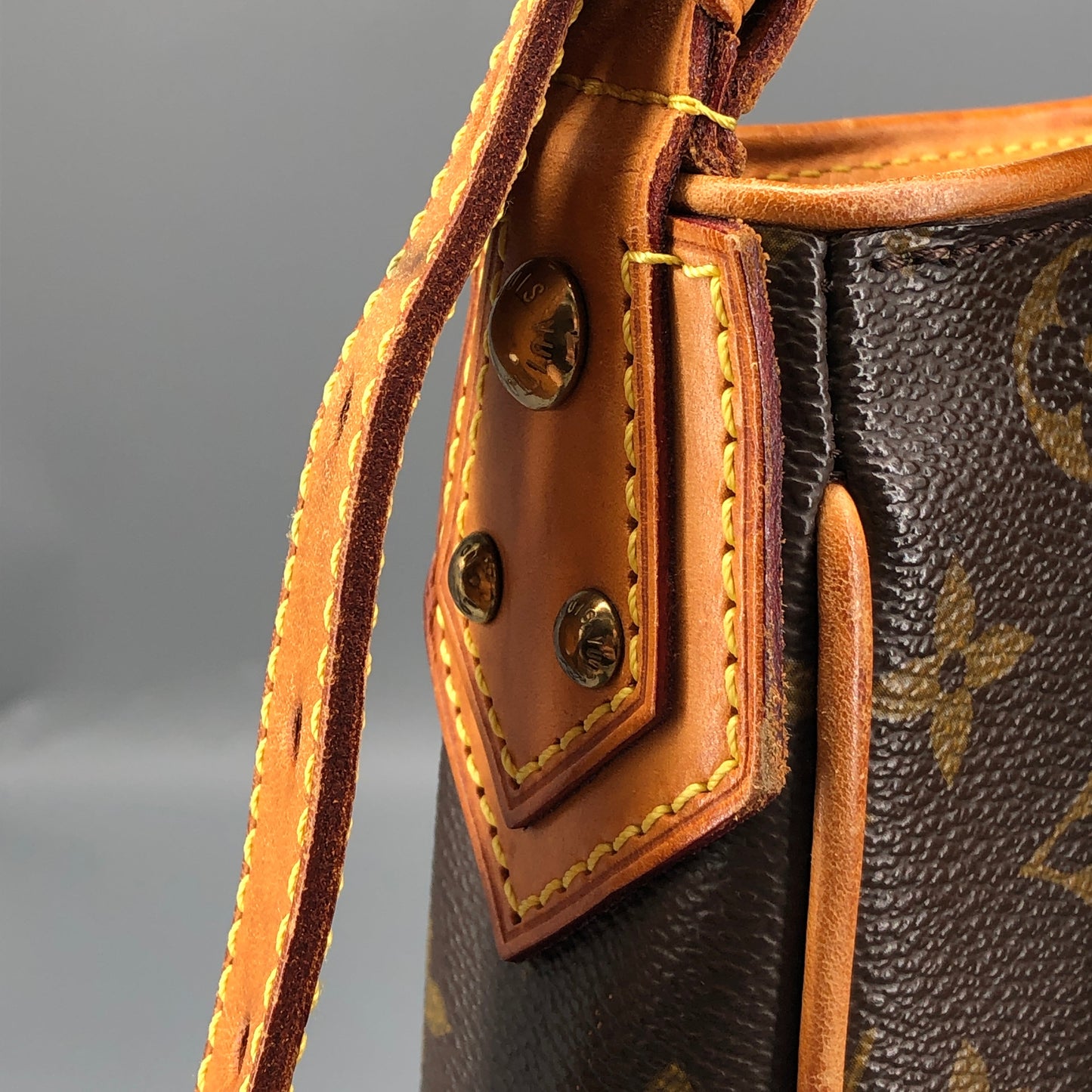Louis Vuitton Monogram Hudson GM Bag Brown