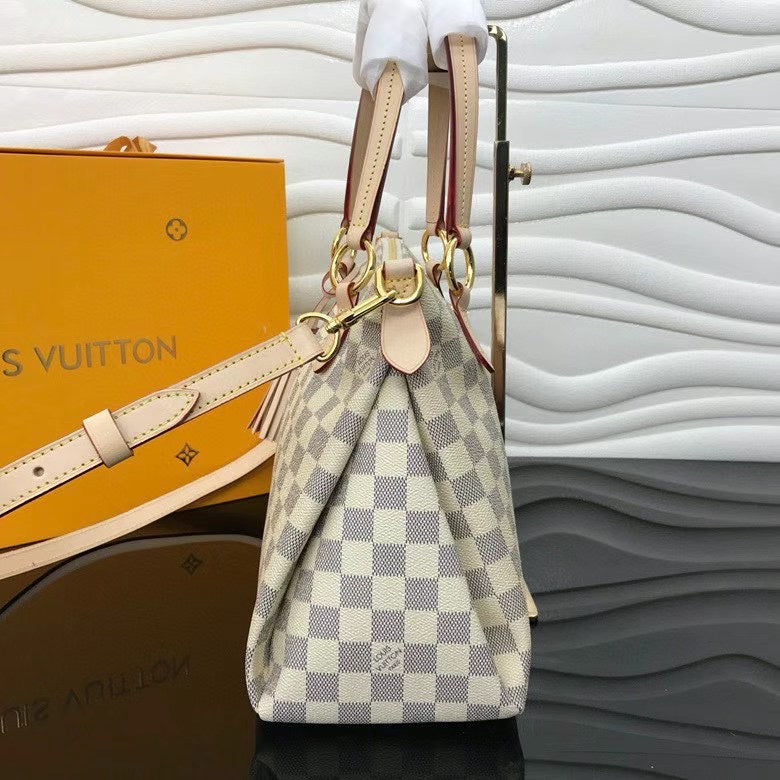 Louis Vuitton Luxury Bags 2461