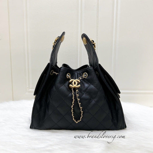 Chanel 25 Small Hobo Hobo Bag - Rovelle Bags