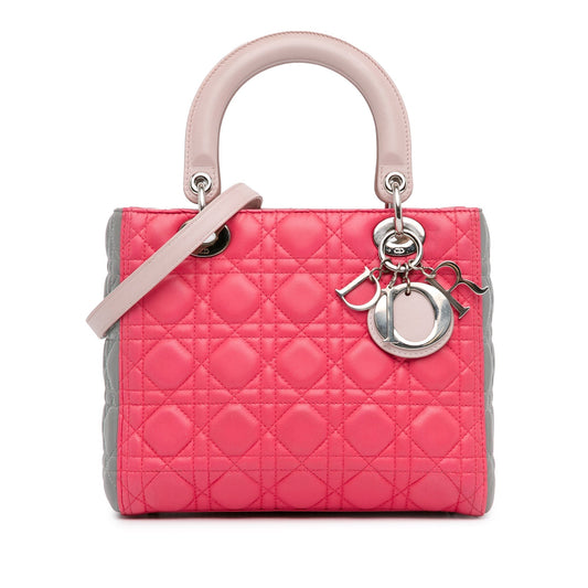 Dior Lady Dior Handbag - Rovelle Bags
