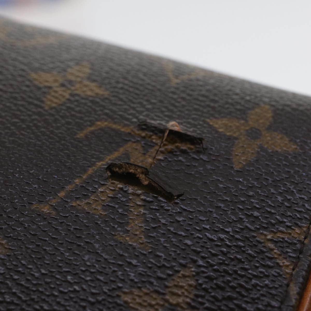 LOUIS VUITTON Monogram Pochette Florentine Waist bag M51855 LV 42967