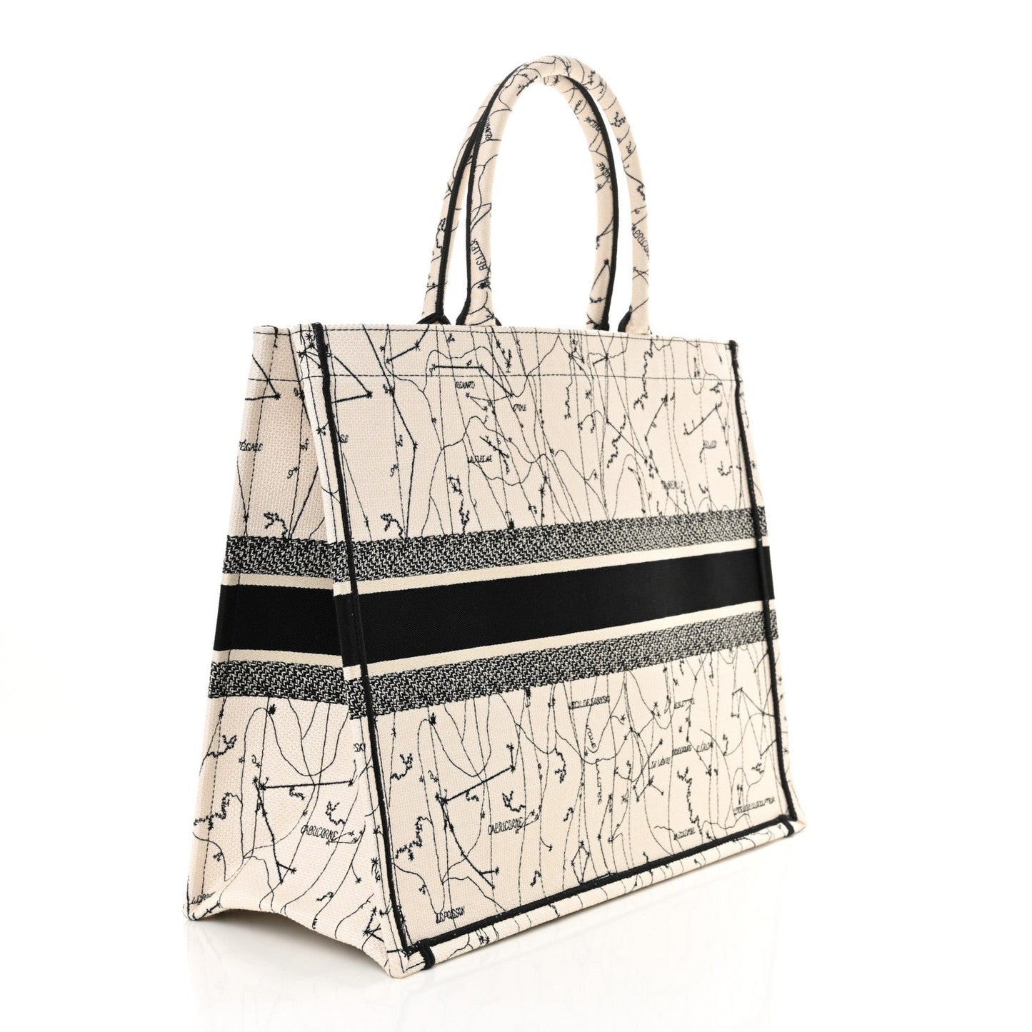 Dior Book Tote Tote - Rovelle Bags