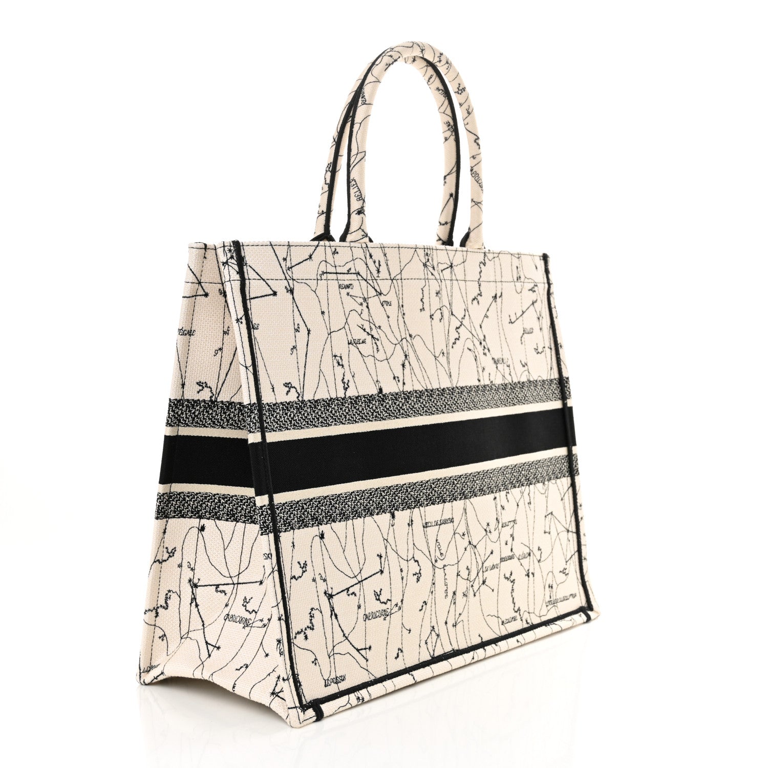 Dior Book Tote Tote - Rovelle Bags