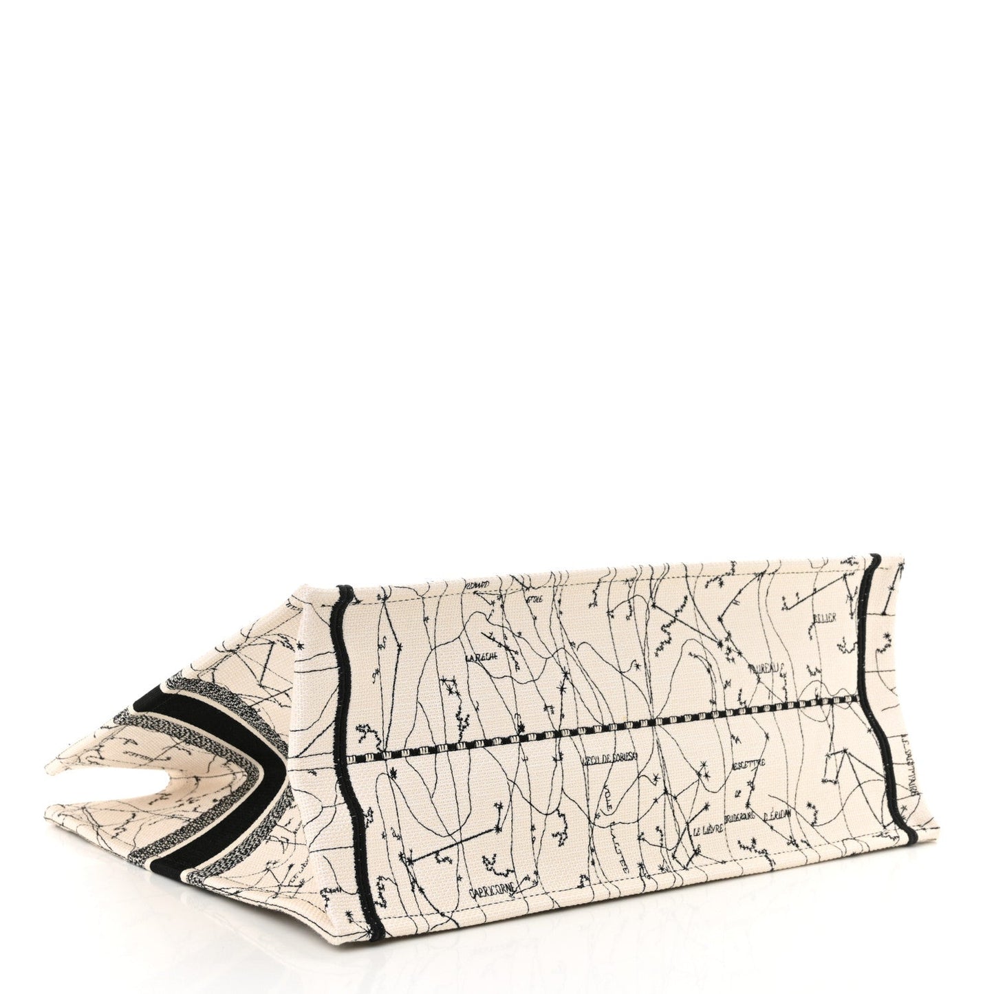 Dior Book Tote Tote - Rovelle Bags