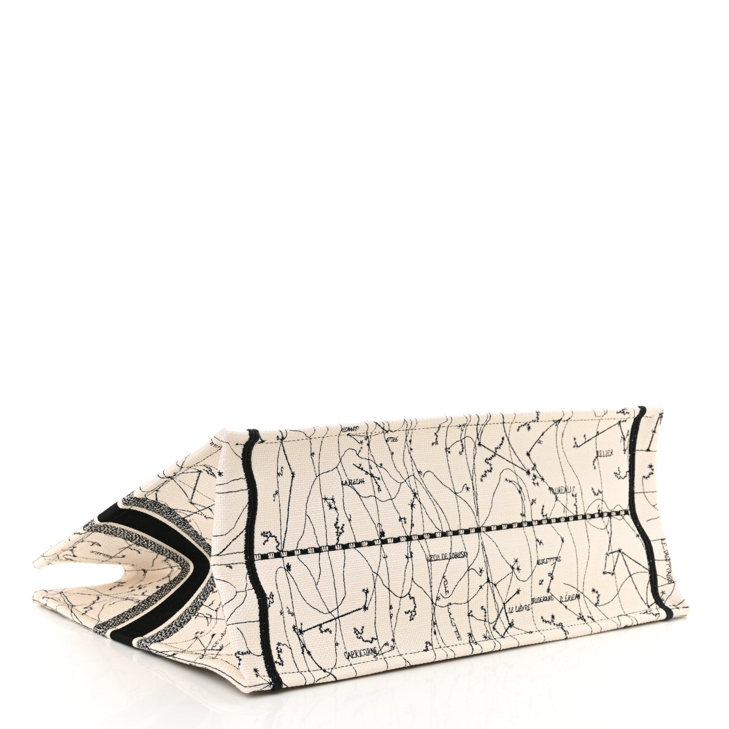 Dior Book Tote Tote - Rovelle Bags