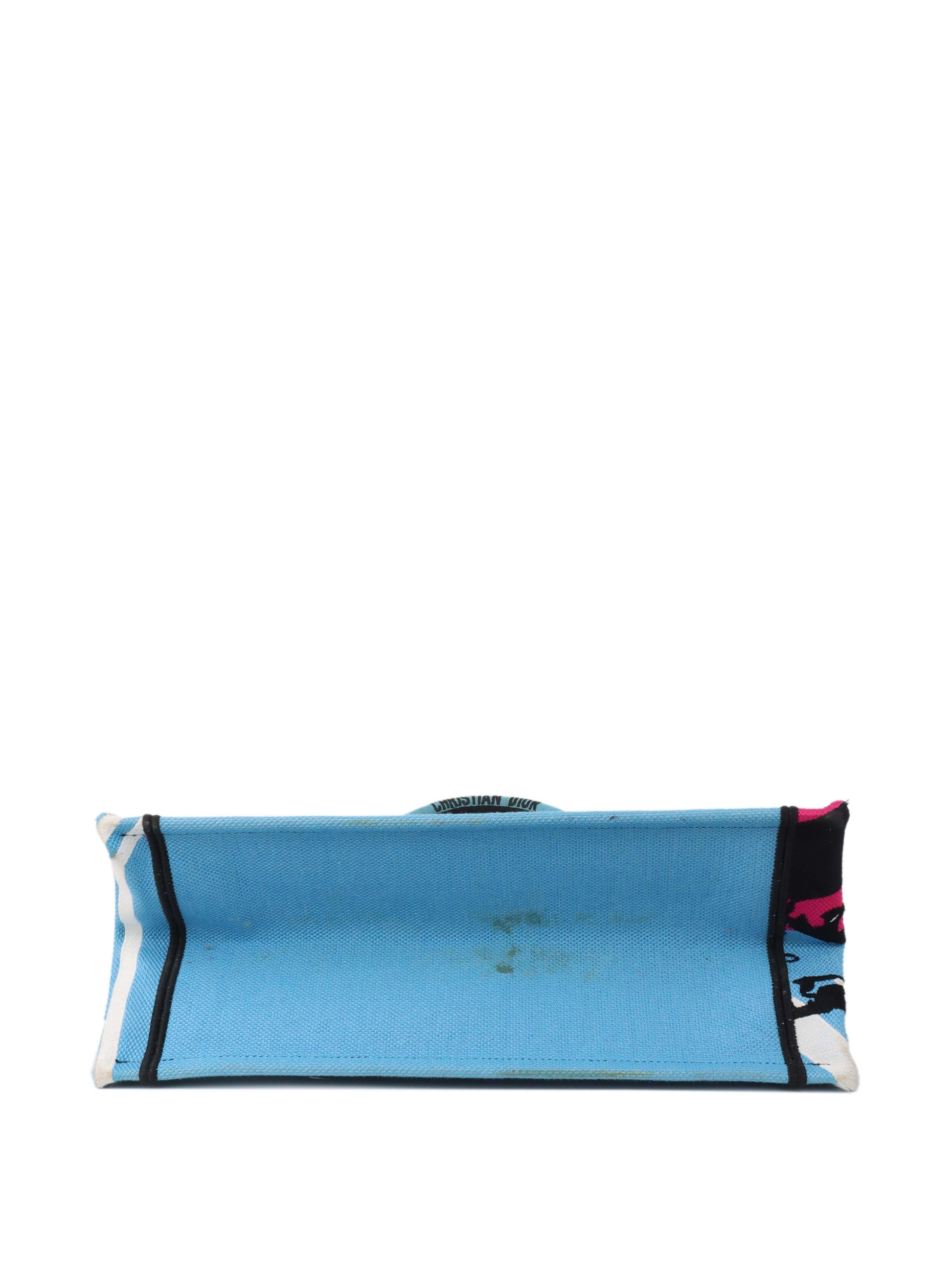 Dior Book Tote Tote - Rovelle Bags