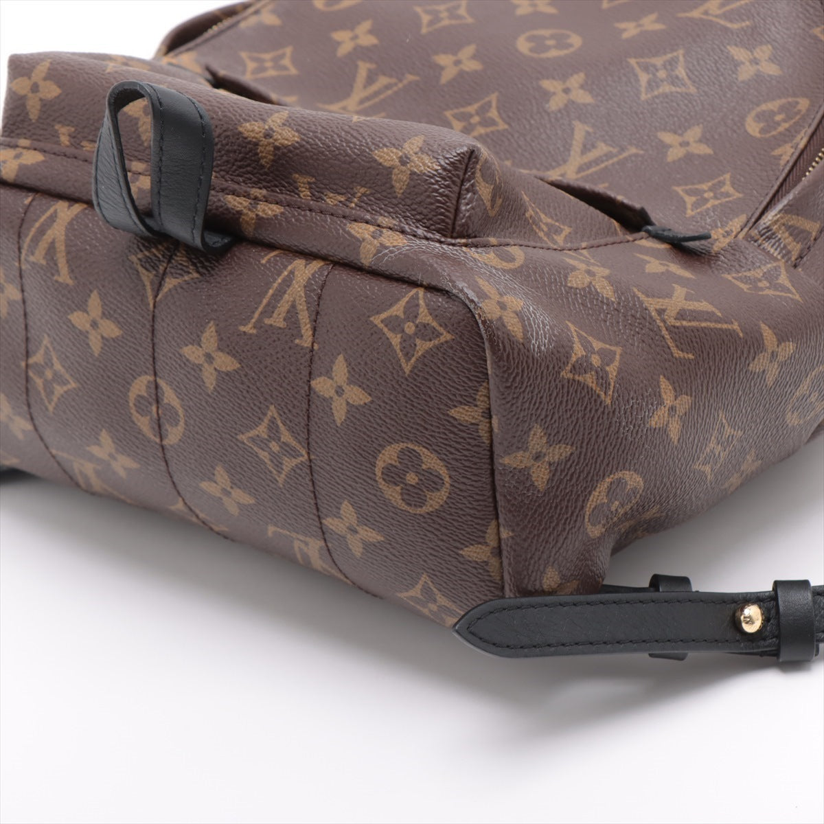 Louis Vuitton Monogram Palm Supremes Bag Pack MM M44874