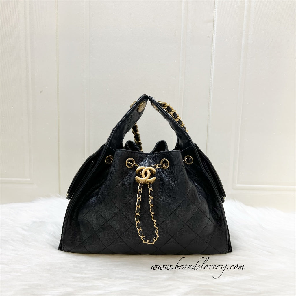 Chanel 25 Small Hobo Hobo Bag - Rovelle Bags