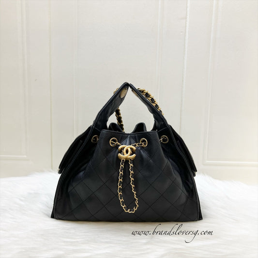 Chanel 25 Small Hobo Hobo Bag - Rovelle Bags