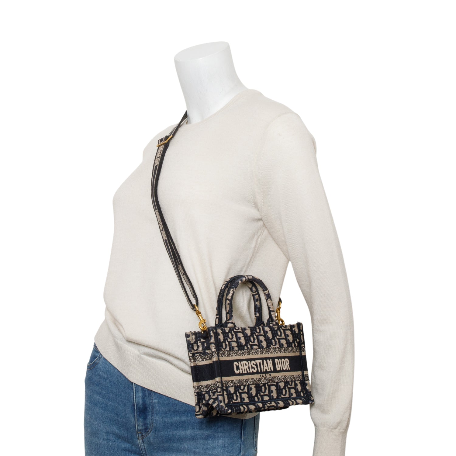 Christian Dior 2024 Blue Oblique Embroidered Mini Book Tote