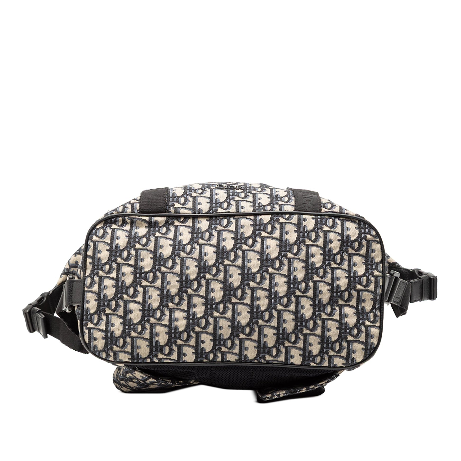 Dior Oblique Backpack - Rovelle Bags