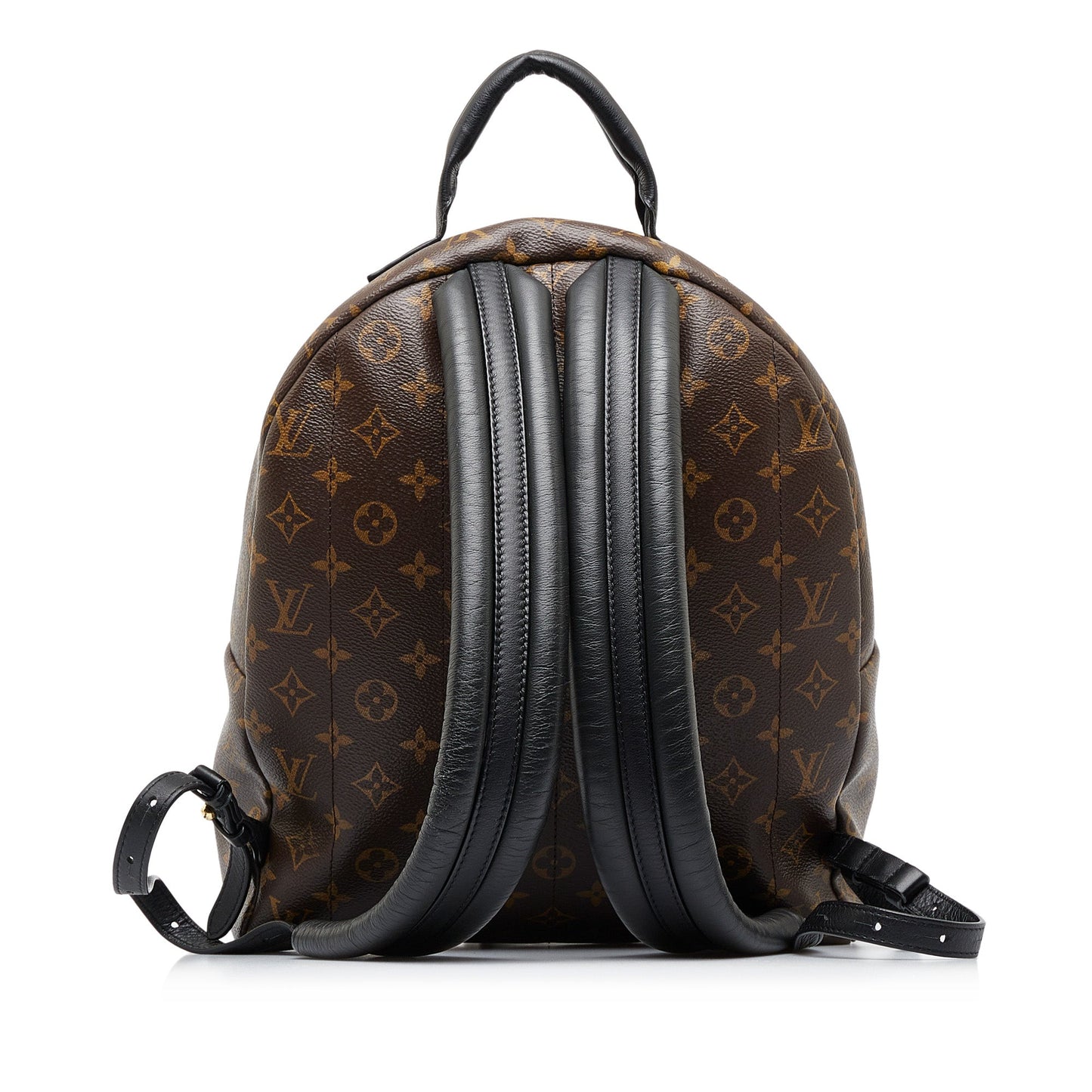 LOUIS VUITTON Monogram Palm Springs MM Backpack