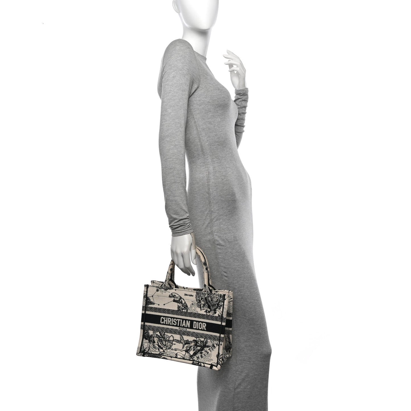 Dior Book Tote Tote - Rovelle Bags