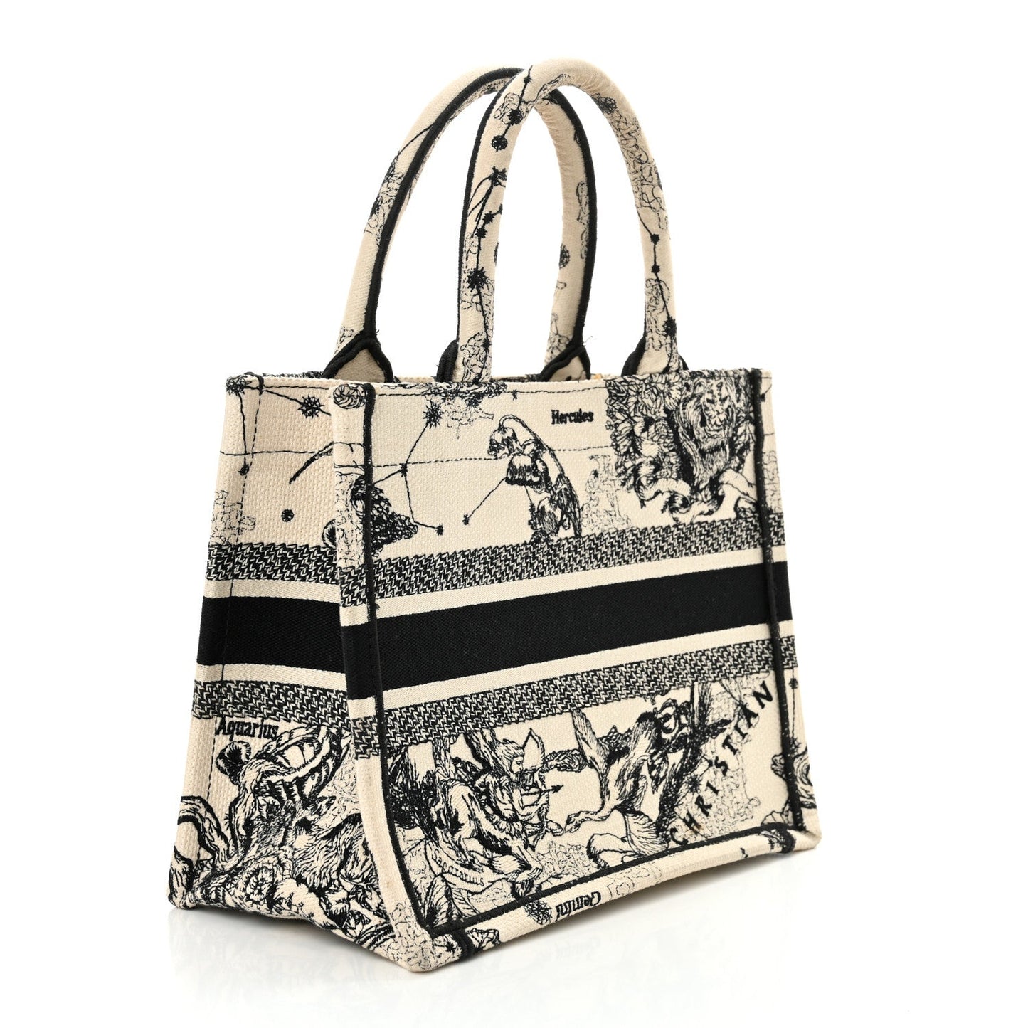 Dior Book Tote Tote - Rovelle Bags