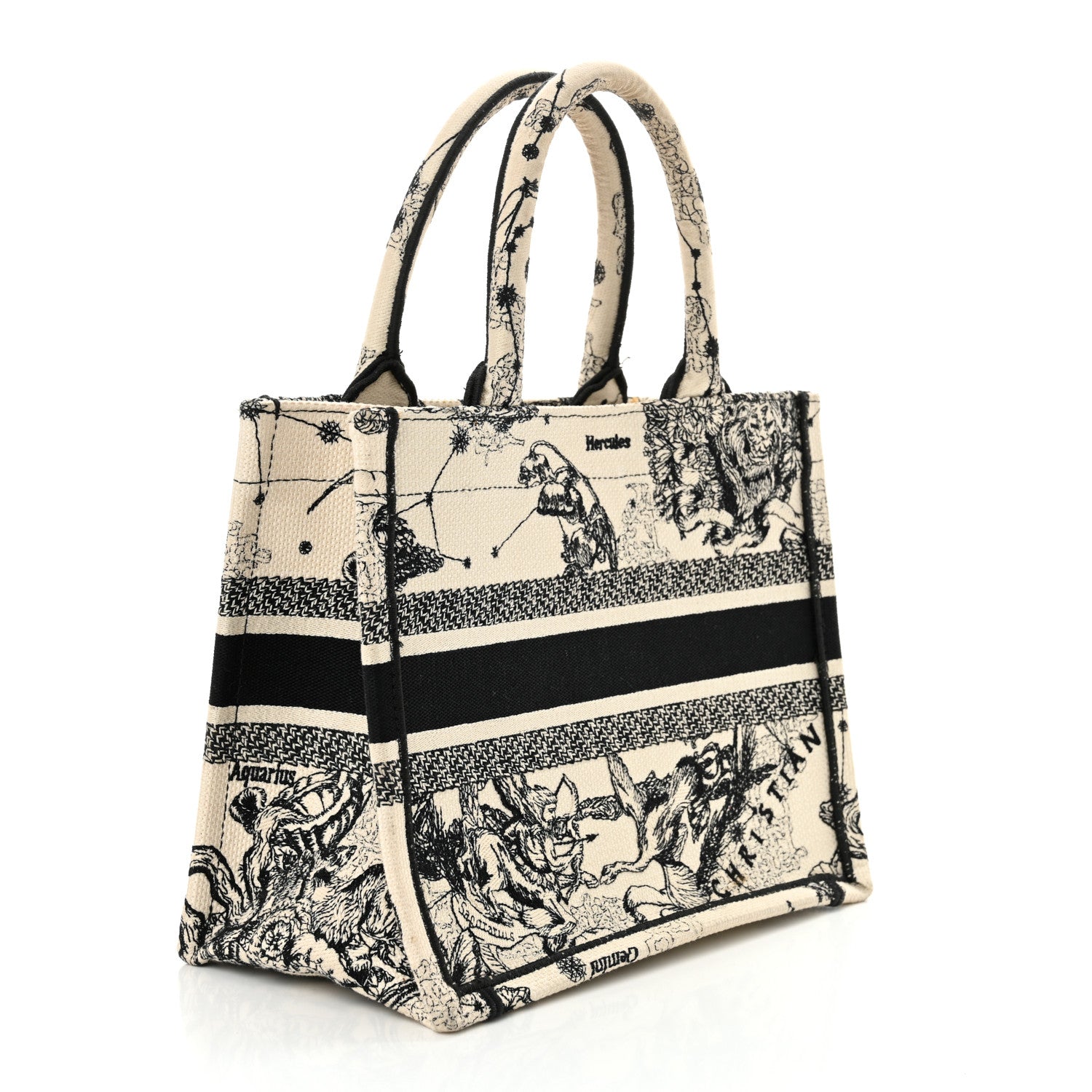 Dior Book Tote Tote - Rovelle Bags