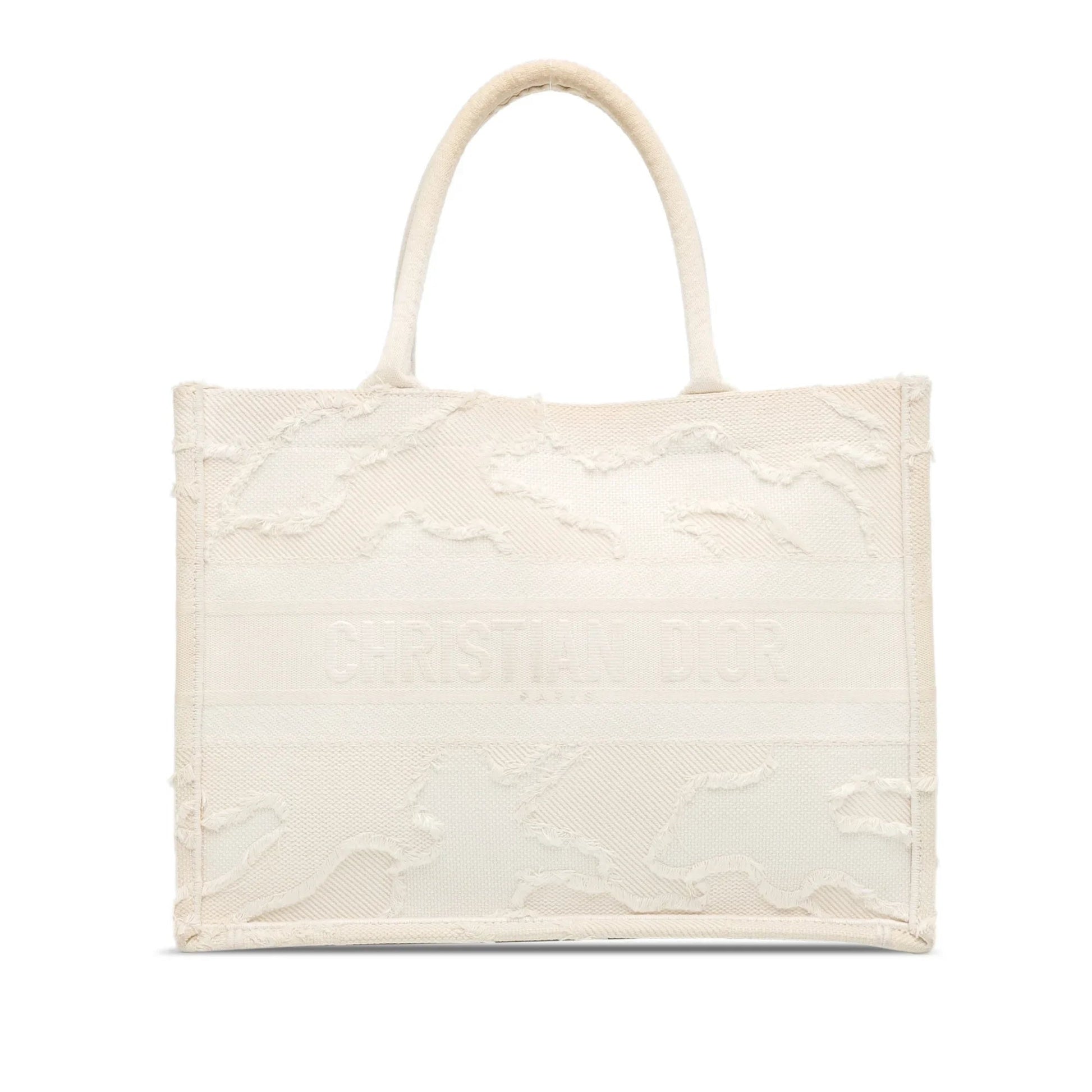 Dior Book Tote Tote - Rovelle Bags