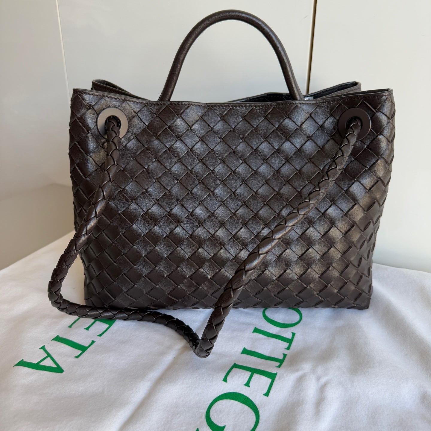 Bottega Veneta Andiamo Tote - Rovelle Bags