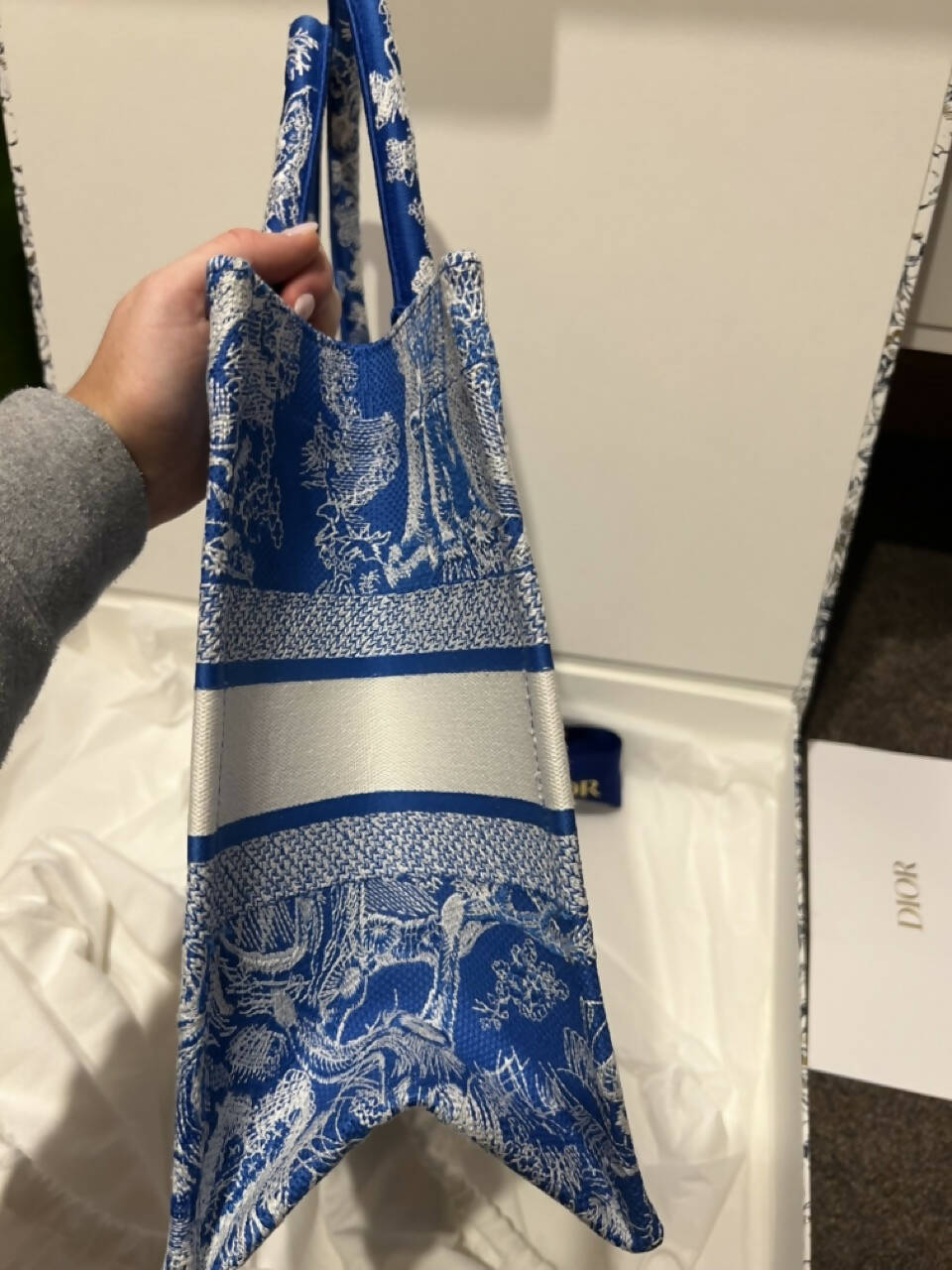 Dior Book Tote Tote - Rovelle Bags