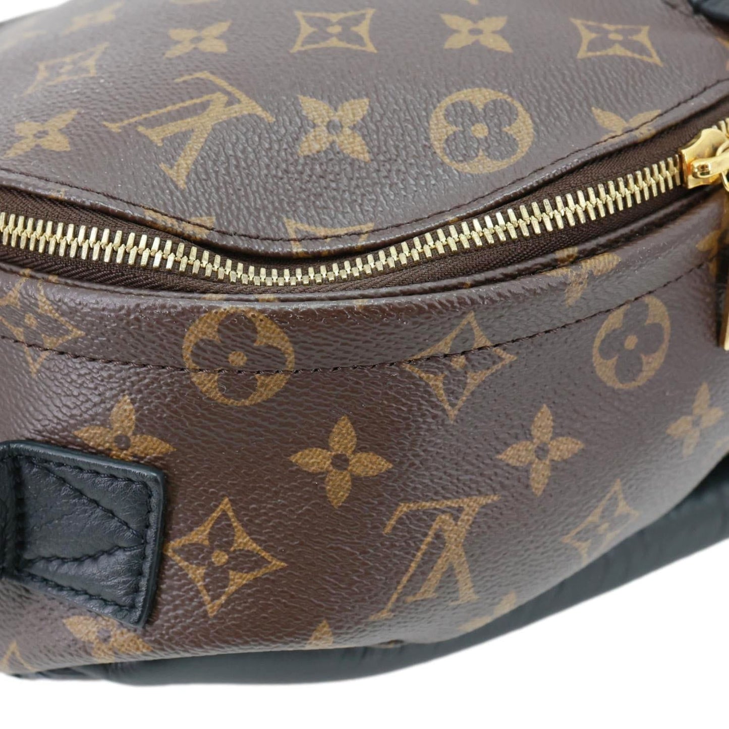 LOUIS VUITTON Palm Spring PM Monogram Canvas Backpack Brown