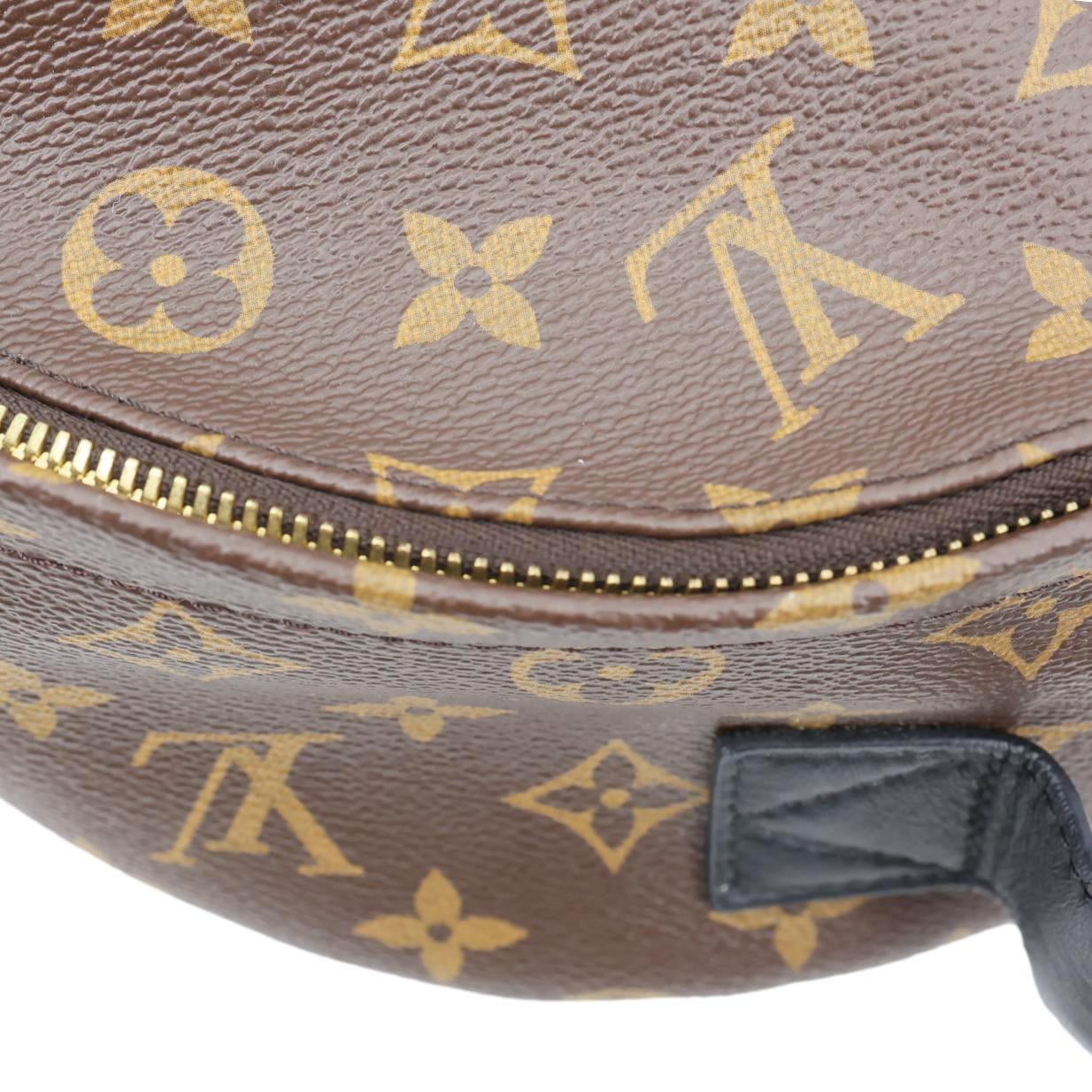 LOUIS VUITTON Palm Springs PM Monogram Reverse Canvas Backpack Brown