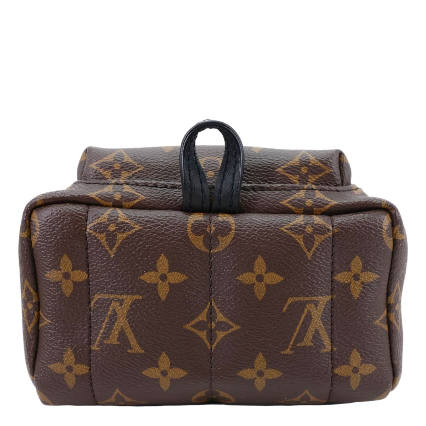 LOUIS VUITTON Palm Spring Mini Monogram Canvas Backpack Brown