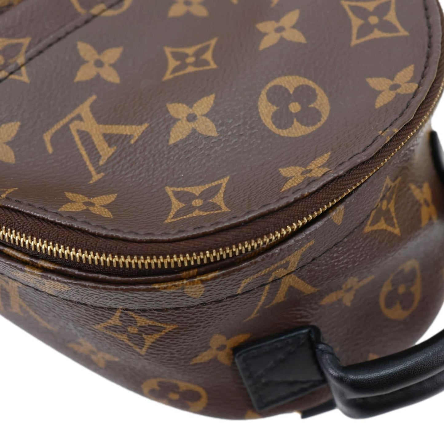 LOUIS VUITTON Palm Spring Mini Monogram Canvas Backpack Brown