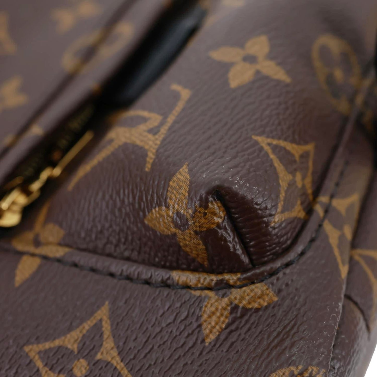 LOUIS VUITTON Palm Spring Mini Monogram Canvas Backpack Brown