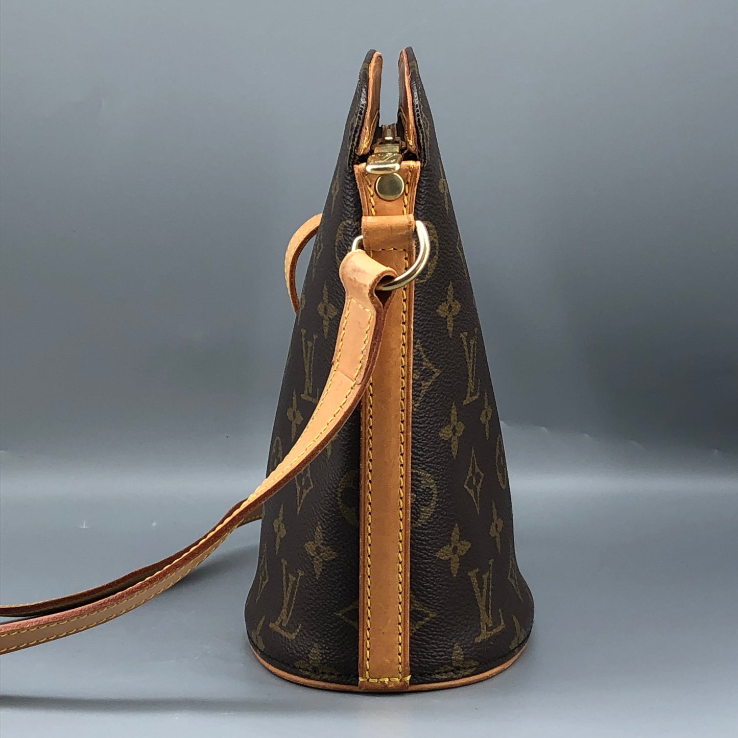 Louis Vuitton Brown Monogram Drouout Crossbody Bag