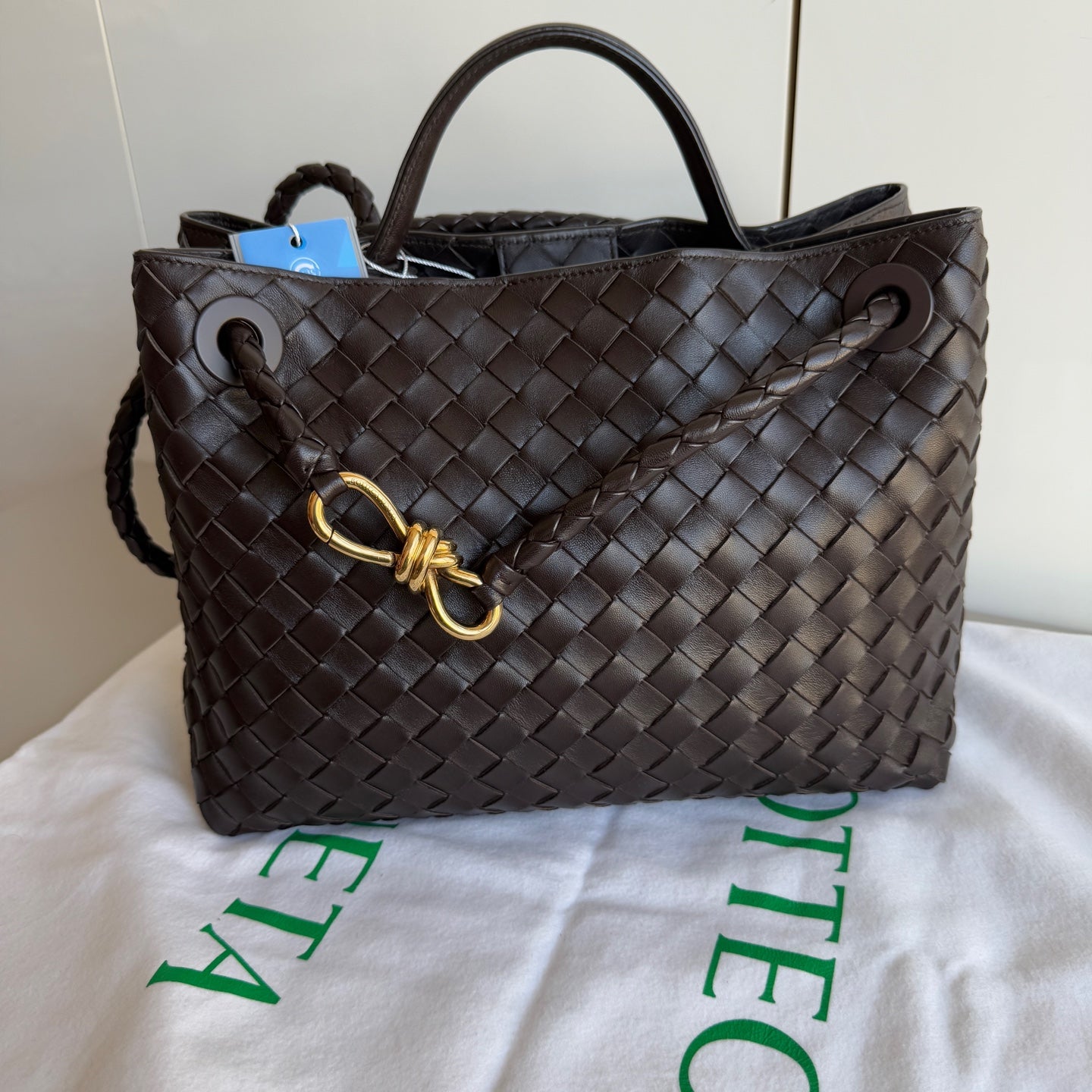 Bottega Veneta Andiamo Tote - Rovelle Bags