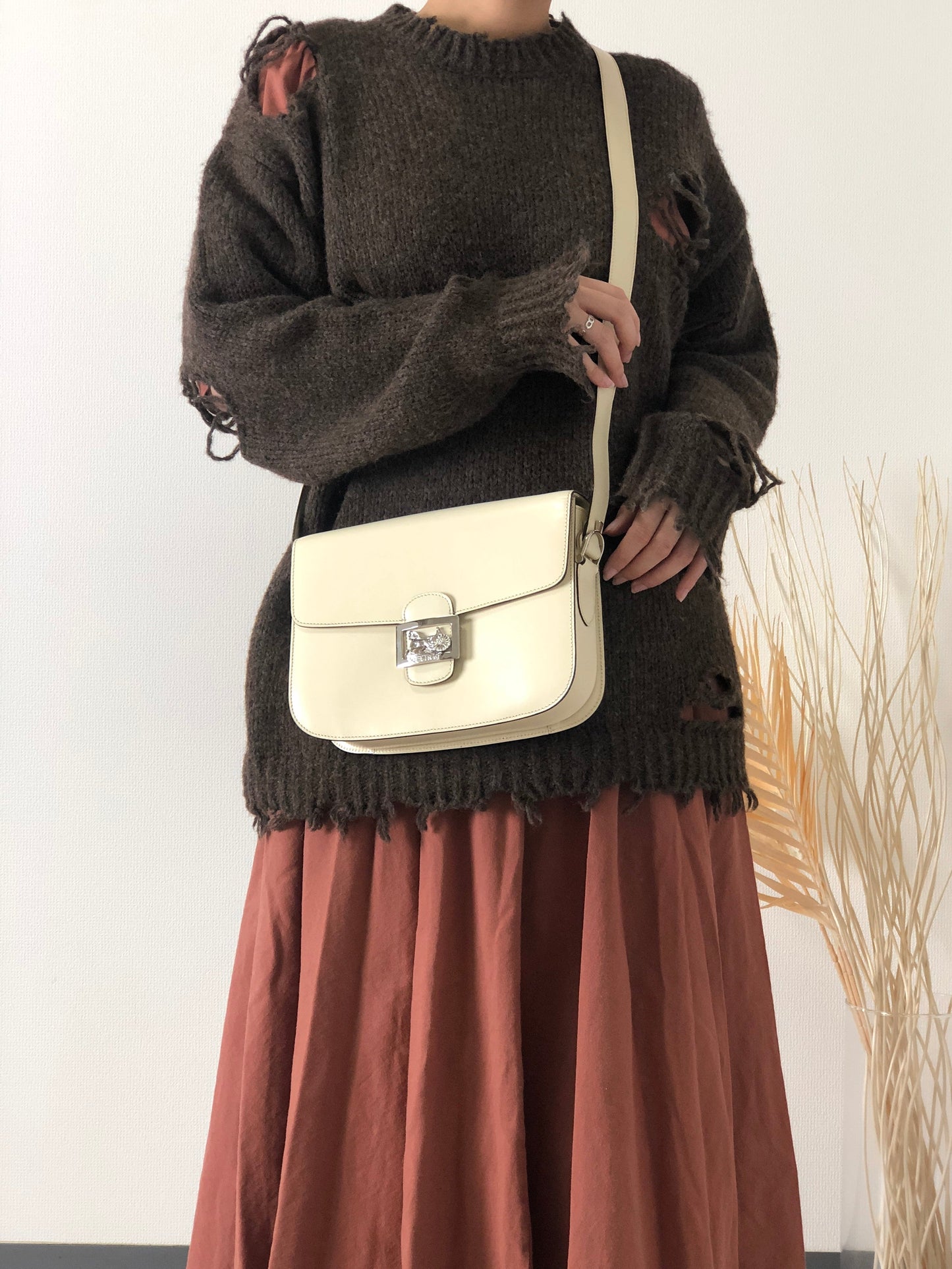 CELINE Horse Carriage Leather Crossbody Shoulder bag White xndfdh