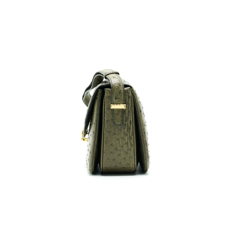 Luxury CELINE Ostrich Triomphe Bag